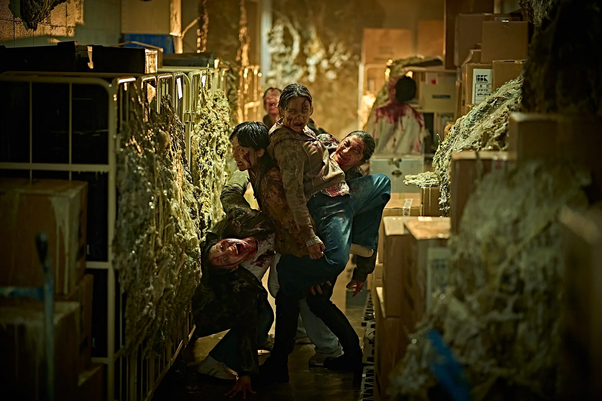 colony still