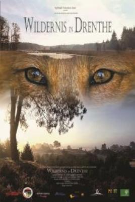 Wildernis in Drenthe (Docs)