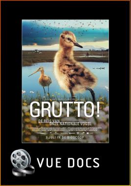 Grutto! De Reis van onze Nationale Vogel (Vue Docs)