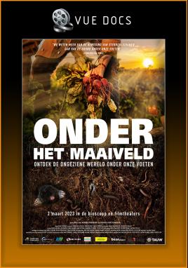 Onder Het Maaiveld