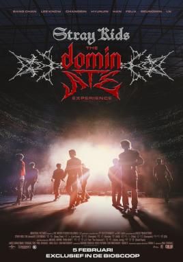 Stray Kids: The dominATE Experience (Vue Music)