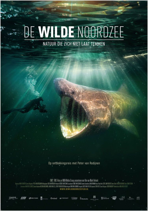 Afbeelding zonder ALT